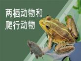 人教版（2024）生物七上：2.2.3 两栖动物和爬行动物（课件）