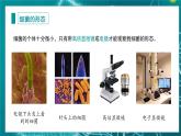 人教版（2024）生物七上：2.3.2 细菌（课件）