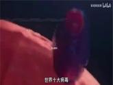 人教版（2024）生物七上：2.3.4  病毒（课件）