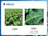 人教版（2024）生物七上：2.3.4  病毒（课件）