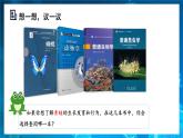 人教版（2024）生物七上：2.4.1 尝试对生物进行分类（课件）