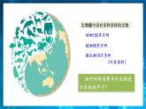人教版（2024）生物七上：2.4.1 尝试对生物进行分类（课件）