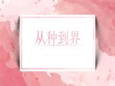 人教版（2024）生物七上：2.4.2 从种到界（课件）