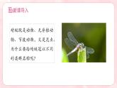 人教版（2024）生物七上：2.4.2 从种到界（课件）