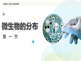 人教版（2024）生物七上：2.3.1 微生物的分布（课件）