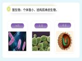 人教版（2024）生物七上：2.3.1 微生物的分布（课件）