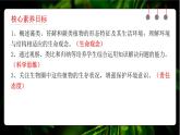 人教版（2024）生物七上：2.1.1 藻类 苔藓和蕨类（课件+教案）