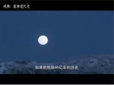 人教版（2024）生物七上：2.1.1 藻类 苔藓和蕨类（课件+教案）