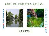 人教版（2024）生物七上：2.1.1 藻类 苔藓和蕨类（课件+教案）
