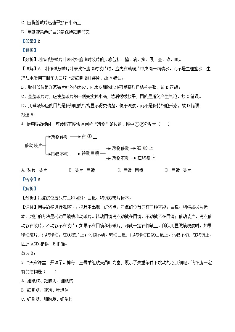 江苏省句容市2023-2024学年七年级下学期期末生物试题（解析版）第2页