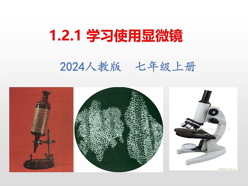 2024人教版生物七年级上册1.2.1《学习使用显微》+教学设计+教案+课件+练习题01