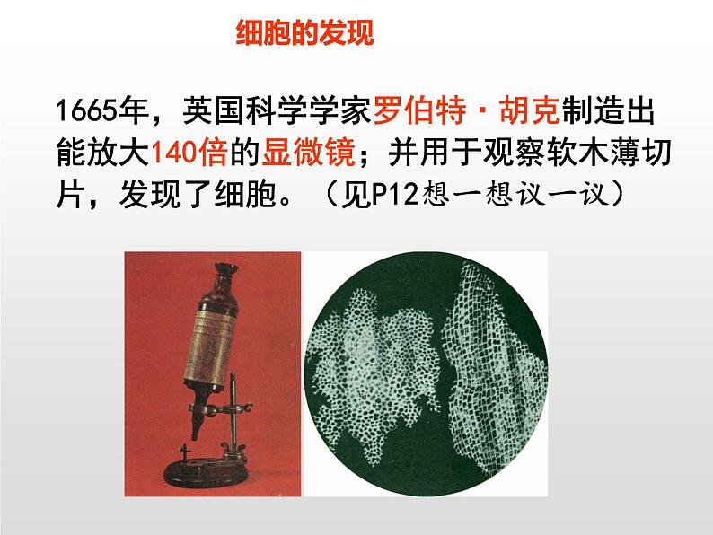 2024人教版生物七年级上册1.2.1《学习使用显微》+教学设计+教案+课件+练习题03