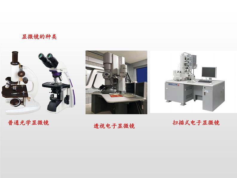 2024人教版生物七年级上册1.2.1《学习使用显微》+教学设计+教案+课件+练习题05