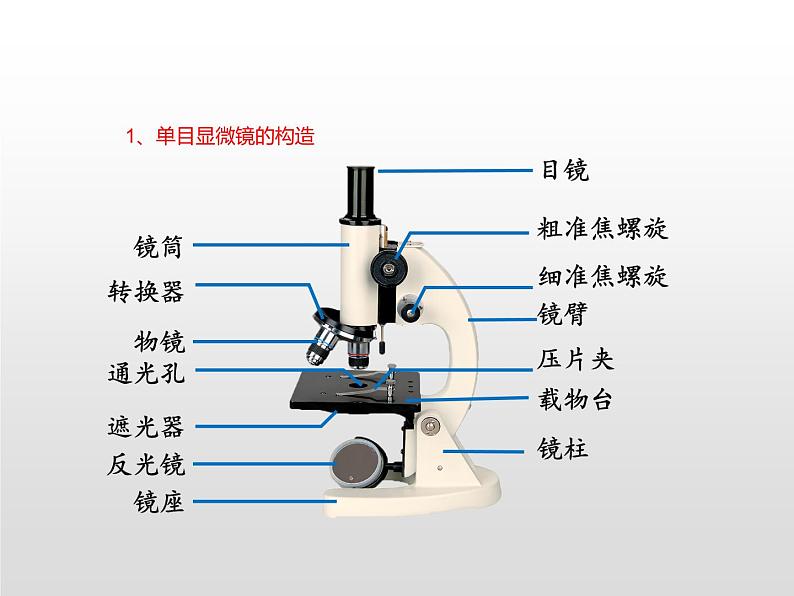 2024人教版生物七年级上册1.2.1《学习使用显微》+教学设计+教案+课件+练习题06