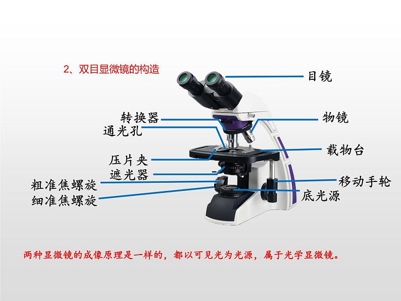 2024人教版生物七年级上册1.2.1《学习使用显微》+教学设计+教案+课件+练习题07