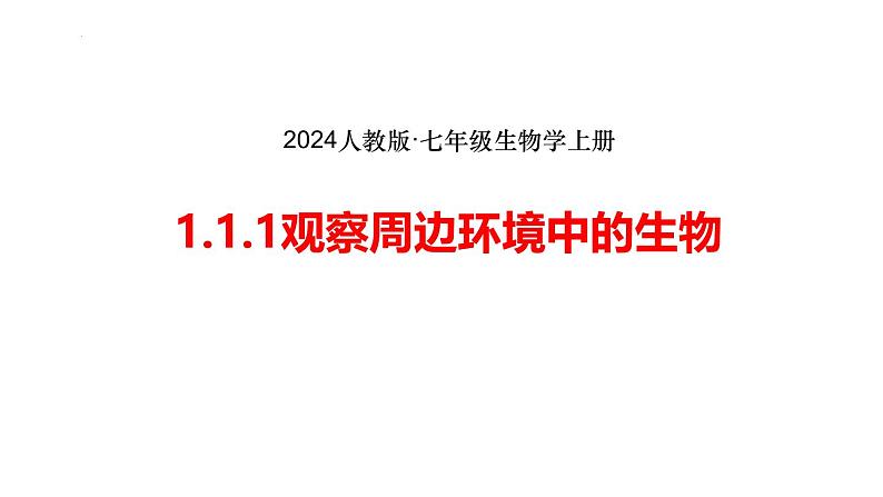 2024人教版生物七年级上册1.1.1《观察周边环境中的生物》+教学设计+教案+课件+练习题及答案01