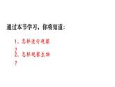 2024人教版生物七年级上册1.1.1《观察周边环境中的生物》+教学设计+教案+课件+练习题及答案