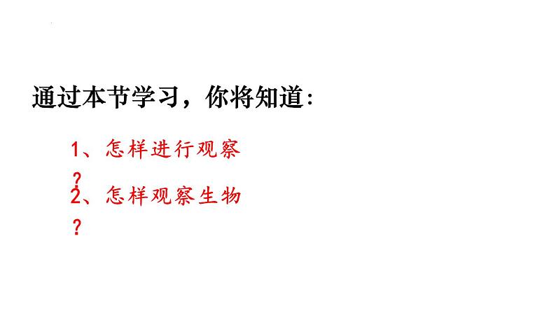 2024人教版生物七年级上册1.1.1《观察周边环境中的生物》+教学设计+教案+课件+练习题及答案02