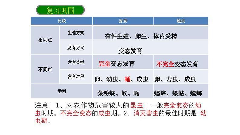 人教版生物八年级下册7.1.3《两栖动物的生殖和发育》课件01