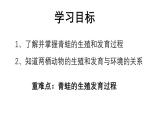 人教版生物八年级下册7.1.3《两栖动物的生殖和发育》课件