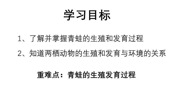 人教版生物八年级下册7.1.3《两栖动物的生殖和发育》课件04