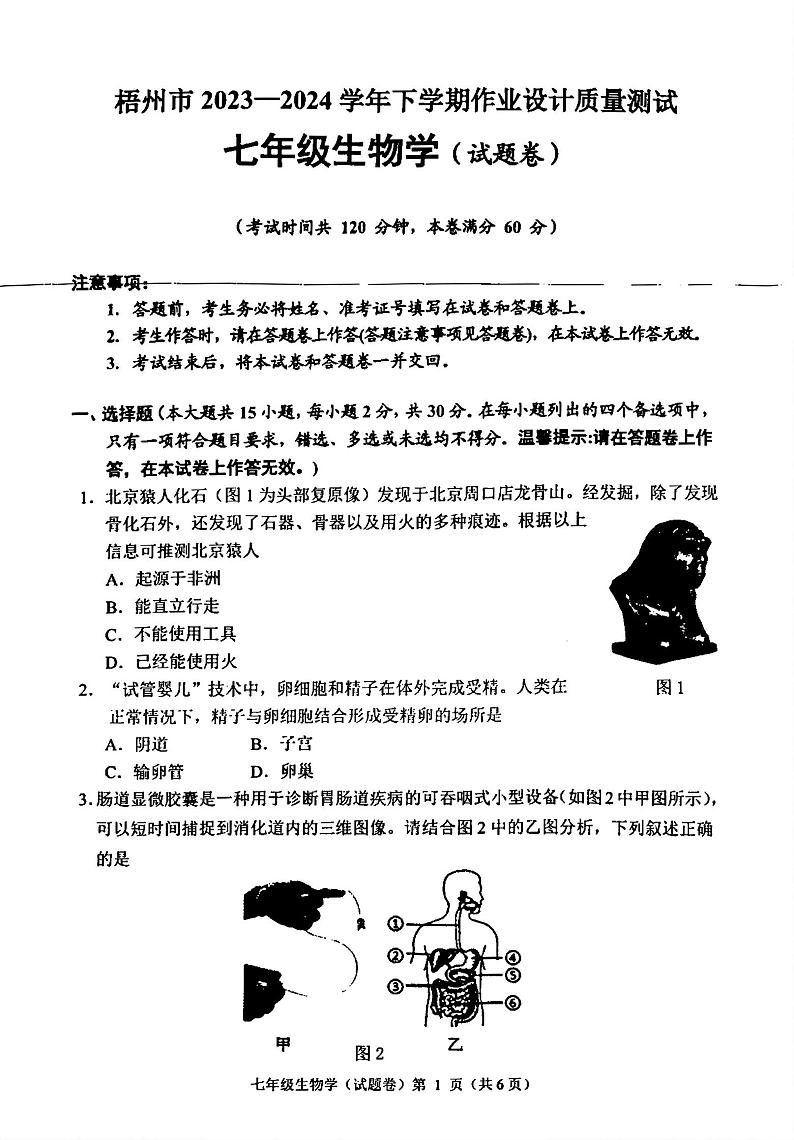 广西壮族自治区梧州市2023-2024学年七年级下学期期末考试生物试题01