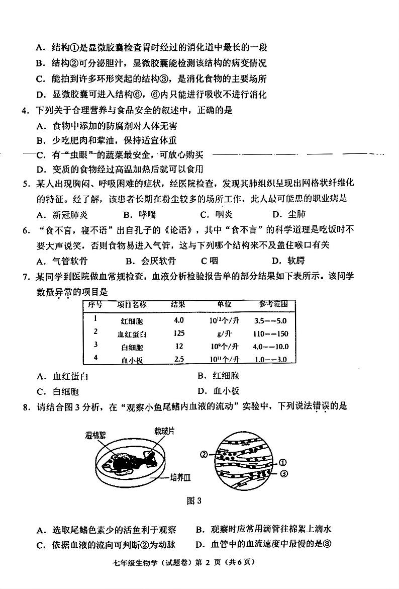 广西壮族自治区梧州市2023-2024学年七年级下学期期末考试生物试题02