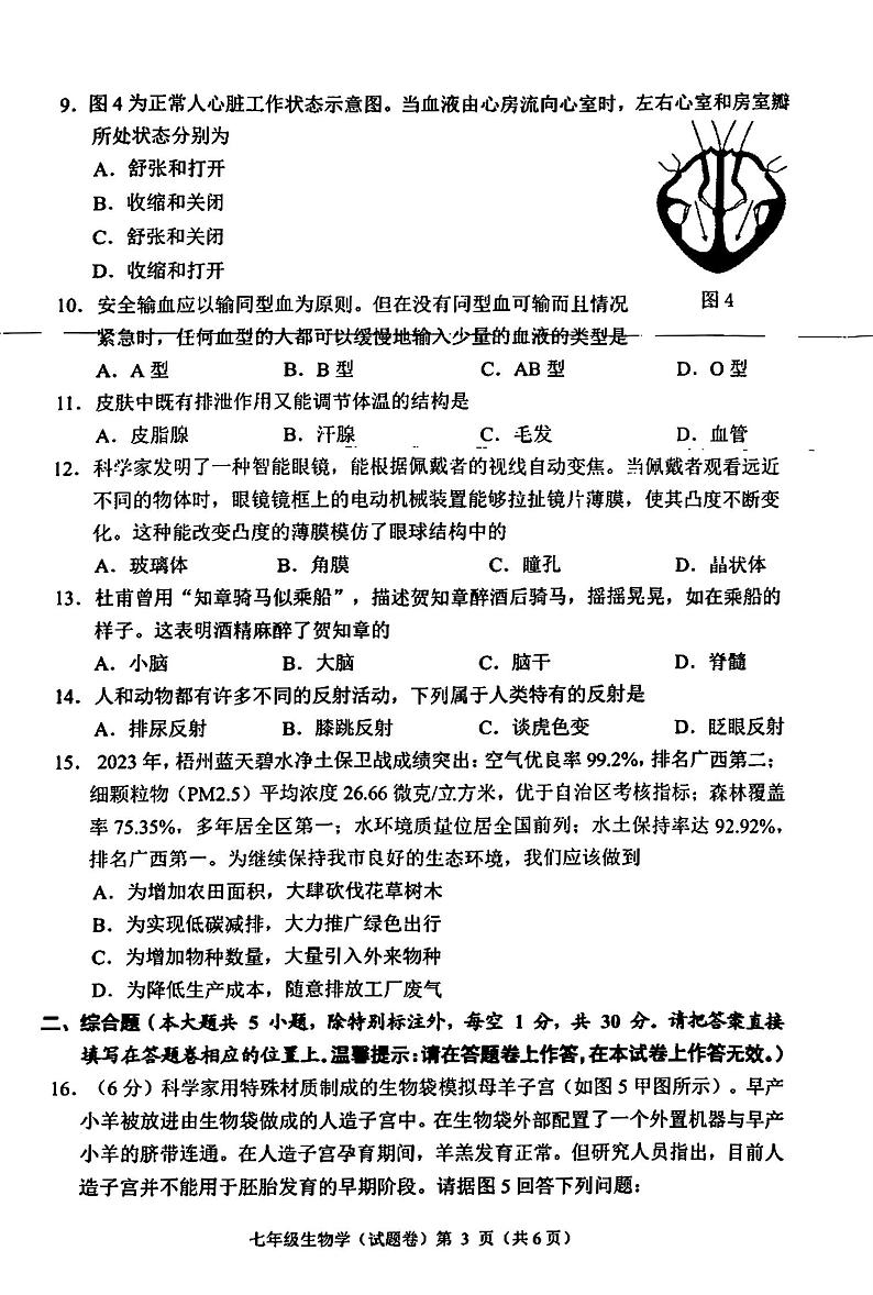 广西壮族自治区梧州市2023-2024学年七年级下学期期末考试生物试题03