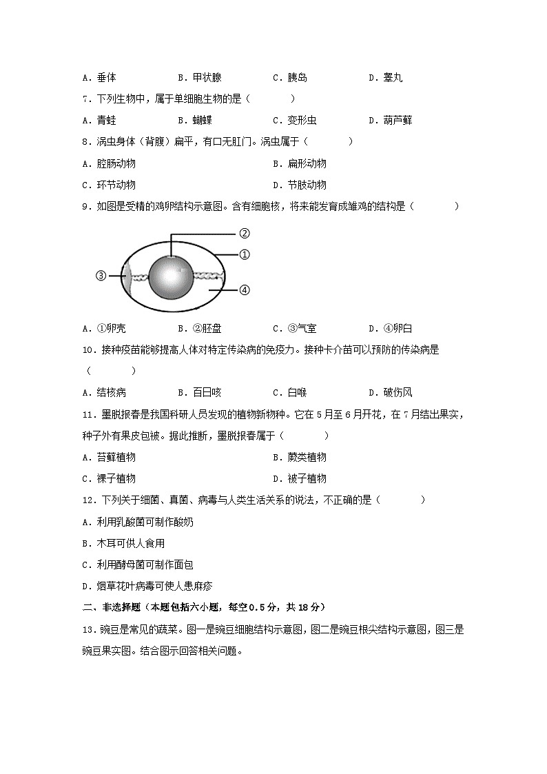2024年辽宁抚顺中考生物试题及答案02