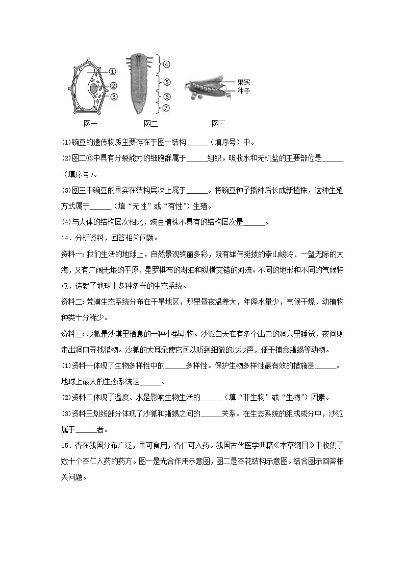 2024年辽宁抚顺中考生物试题及答案03