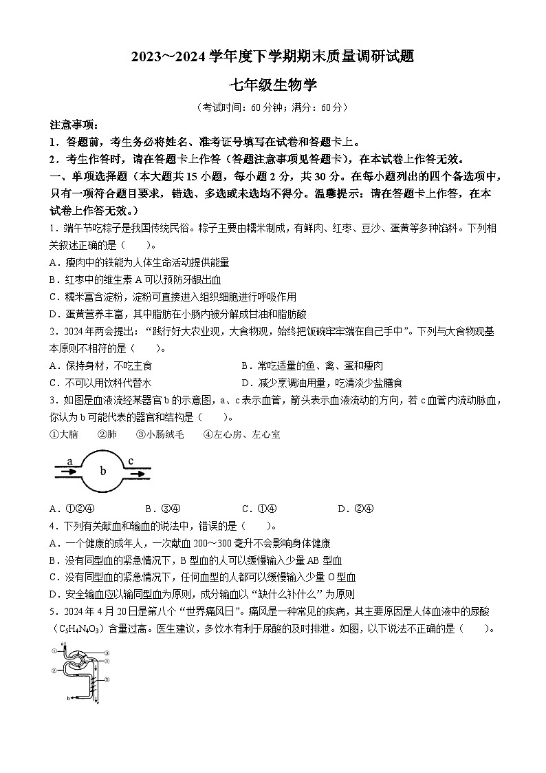 广西壮族自治区百色市乐业县同乐镇初级中学2023-2024学年七年级下学期期末考试生物试题(无答案)第1页