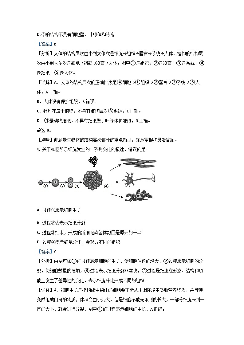 [生物][期中]福建省福州市长乐区2023-2024学年八年级下学期期中学试题(解析版)(1)第2页