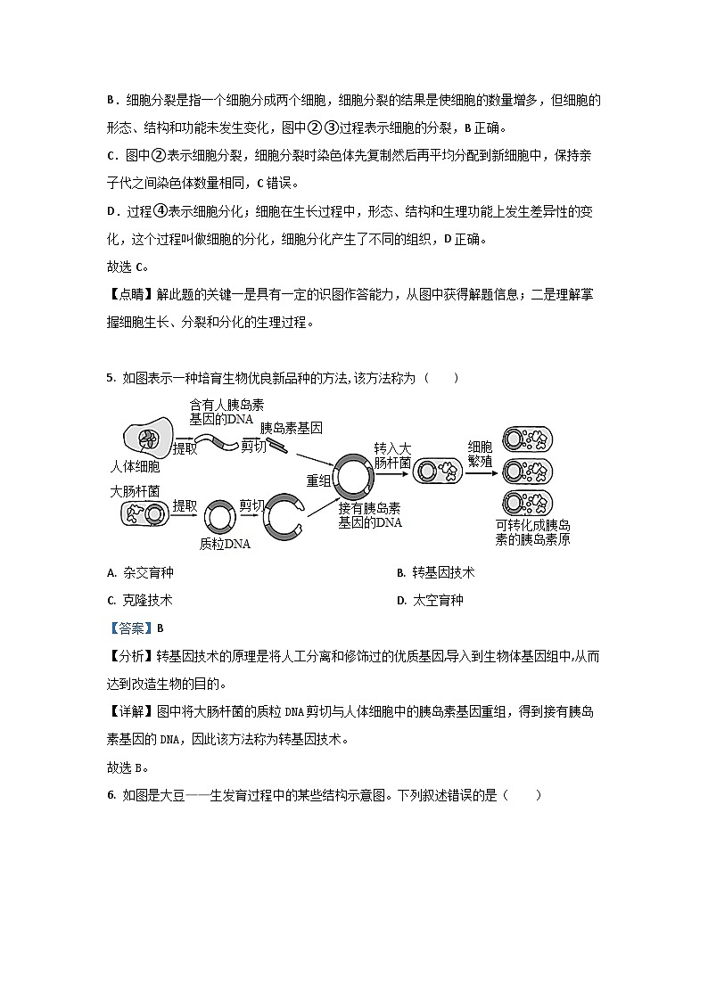 [生物][期中]福建省福州市长乐区2023-2024学年八年级下学期期中学试题(解析版)(1)第3页