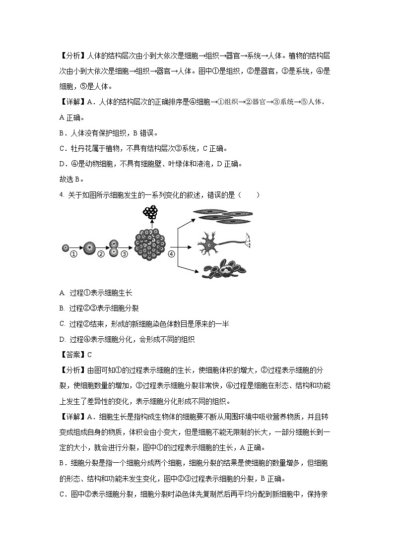 [生物][期中]福建省福州市长乐区2023-2024学年八年级下学期期中学试题(解析版)第2页