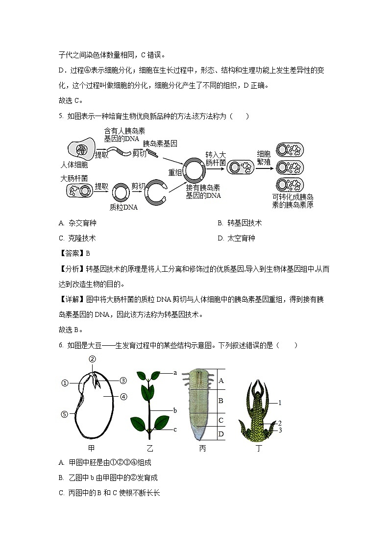 [生物][期中]福建省福州市长乐区2023-2024学年八年级下学期期中学试题(解析版)第3页