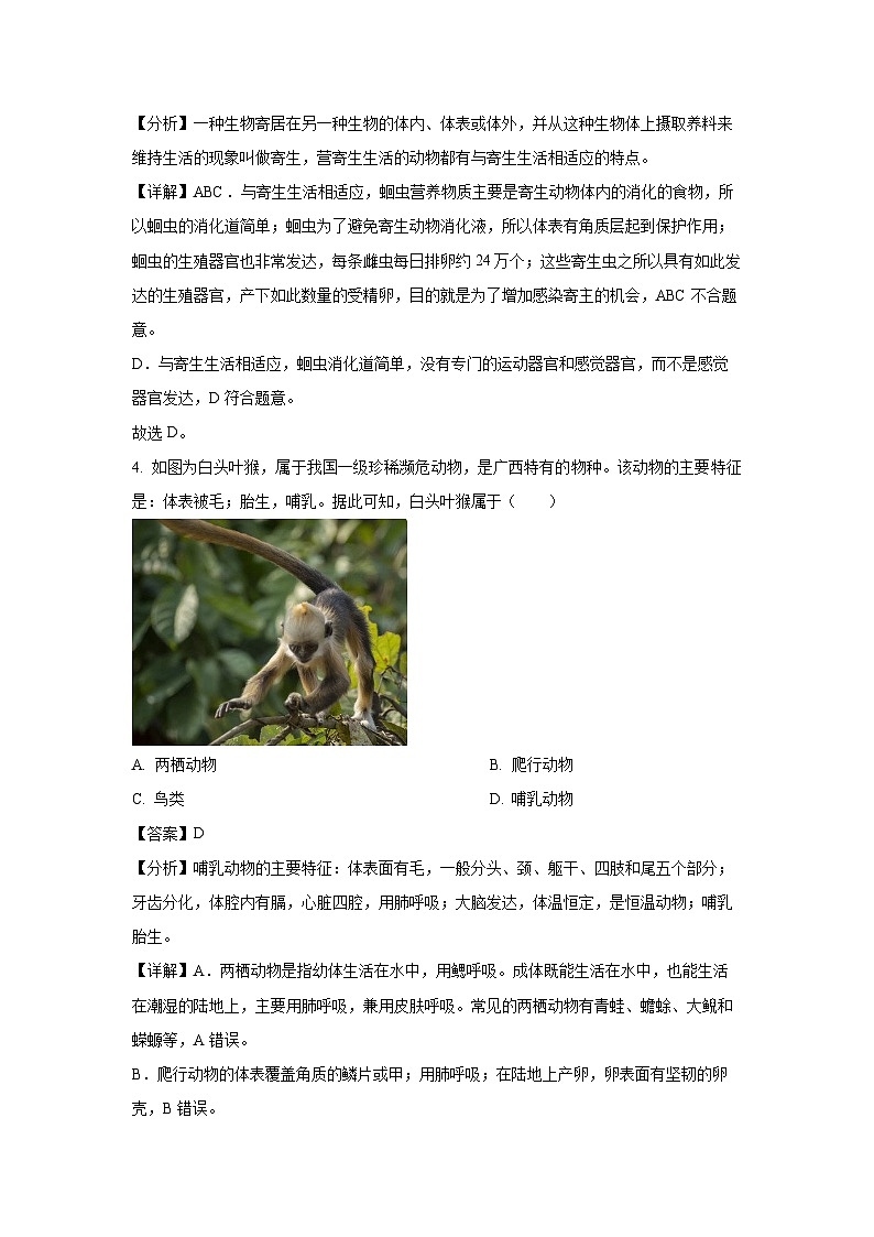 [生物][期中]福建省福州市长乐区2023-2024学年八年级上学期期中试题(解析版)02