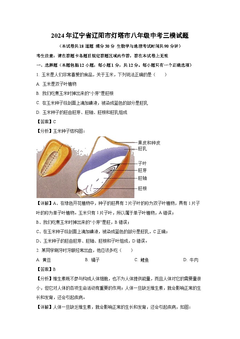 [生物][三模]2024年辽宁省辽阳市灯塔市八年级中考试题(解析版)第1页