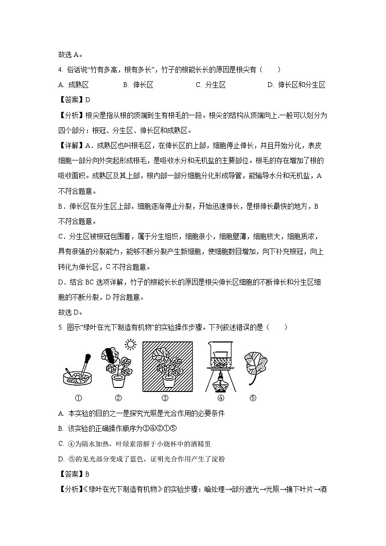 [生物][三模]2024年辽宁省辽阳市灯塔市八年级中考试题(解析版)第3页