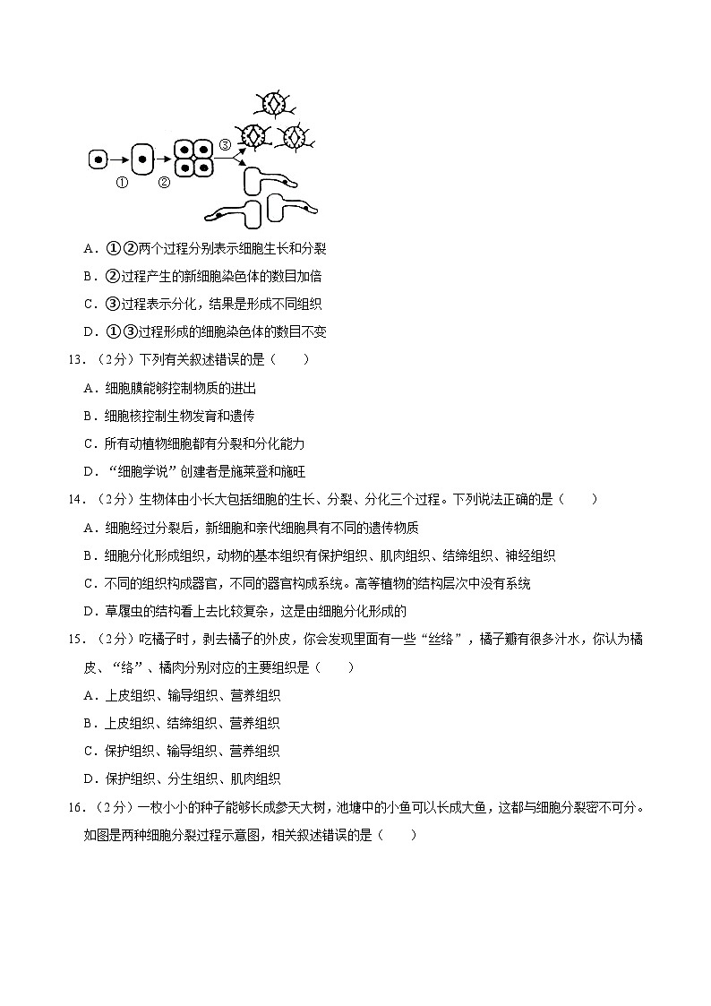 重庆市武隆区江口中学校2022-2023学年七年级上学期期末生物试题第3页