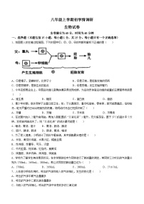 辽宁省辽阳市第一中学2024-2025学年八年级上学期开学生物试题(无答案)