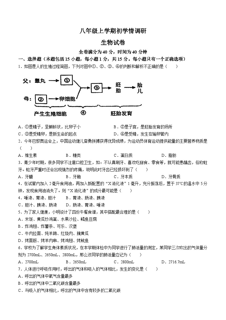 辽宁省辽阳市第一中学2024-2025学年八年级上学期开学生物试题(无答案)01