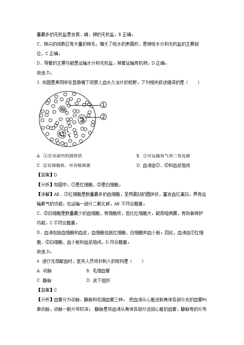 [生物][期末]北京市石景山区2023-2024学年七年级下学期期末试题(解析版)02