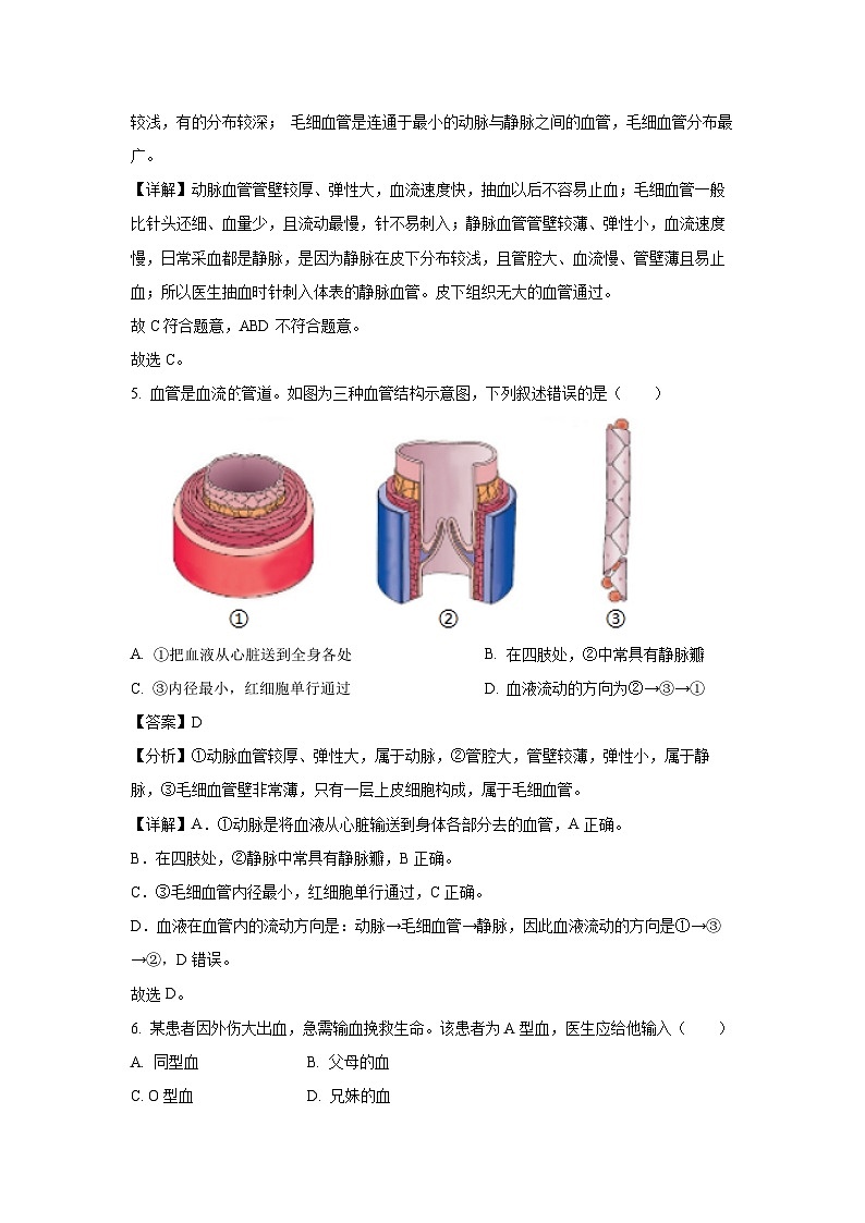 [生物][期末]北京市石景山区2023-2024学年七年级下学期期末试题(解析版)03