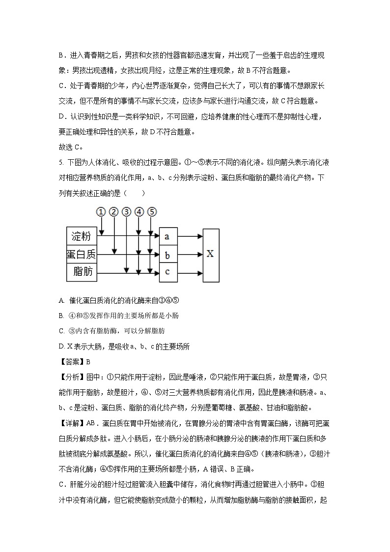 [生物][期末]广西贺州市八步区2023-2024学年七年级下学期期末试题(解析版)第3页