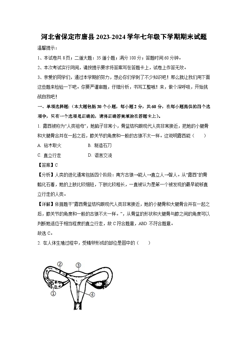 [生物][期末]河北省保定市唐县2023-2024学年七年级下学期期末试题(解析版)01