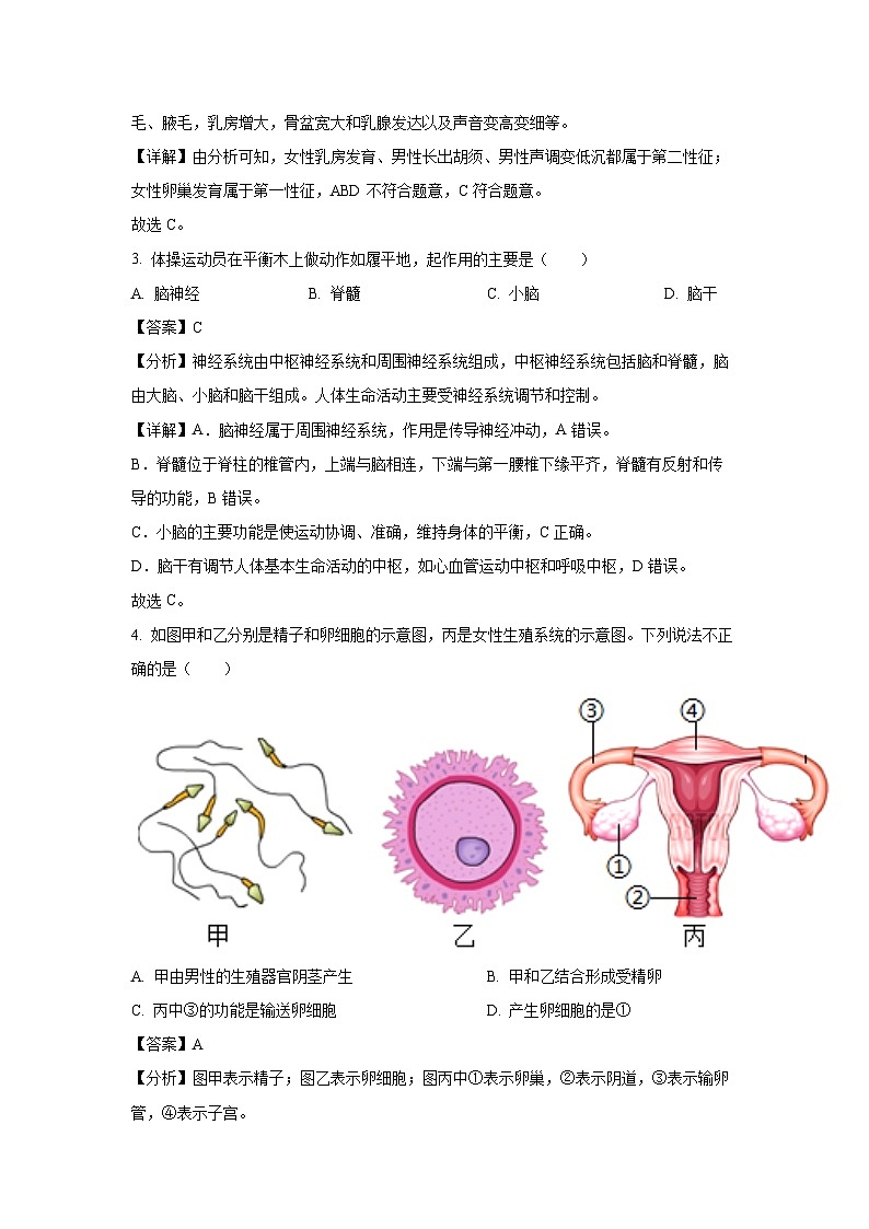 [生物][期末]河北省邯郸市永年区2023-2024学年七年级下学期期末试题(解析版)第2页