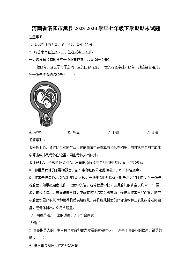 [生物][期末]河南省洛阳市嵩县2023-2024学年七年级下学期期末学试题(解析版)01