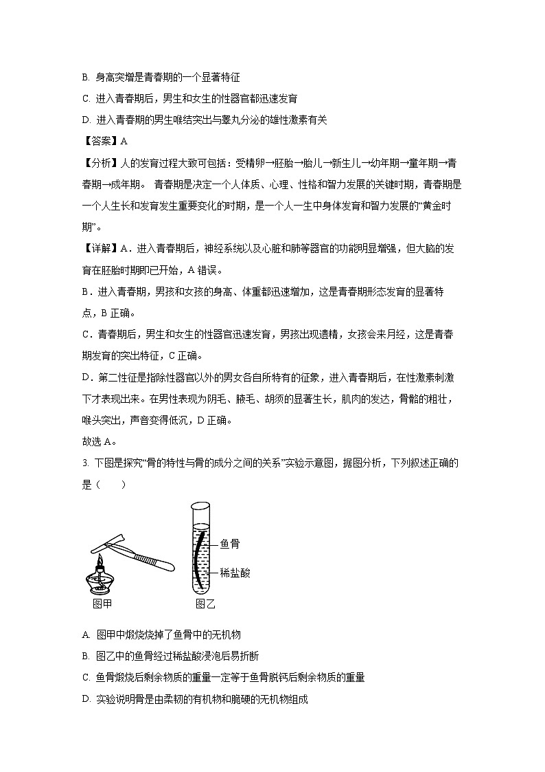 [生物][期末]河南省洛阳市嵩县2023-2024学年七年级下学期期末学试题(解析版)02