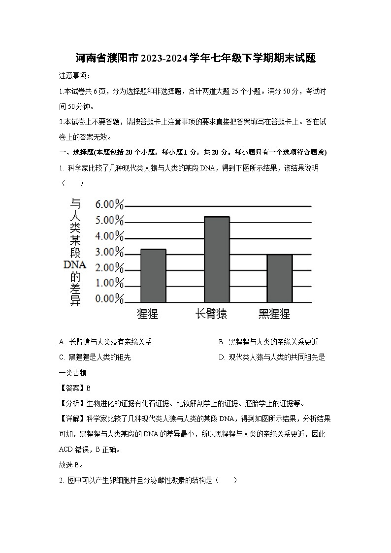 [生物][期末]河南省濮阳市2023-2024学年七年级下学期期末学试题(解析版)第1页