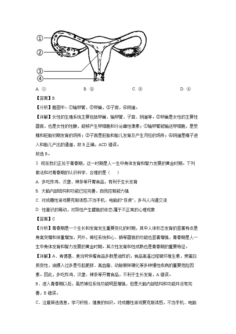 [生物][期末]河南省濮阳市2023-2024学年七年级下学期期末学试题(解析版)第2页